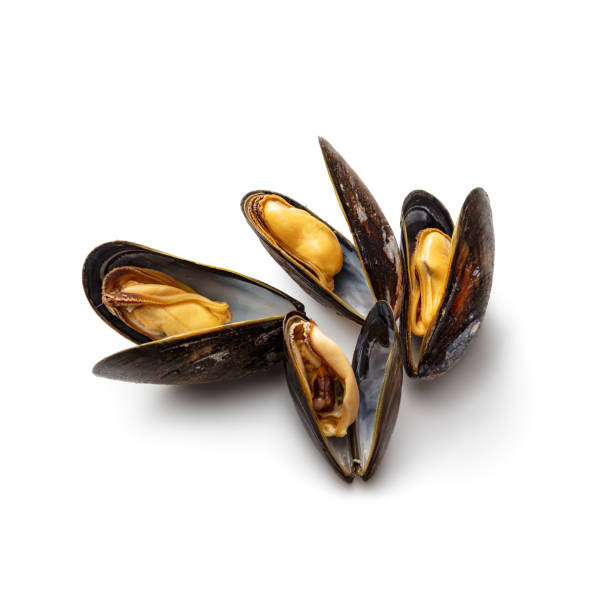 Black Mussels Buy fresh fish online in Abu Dhabi